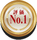 NO2.gif