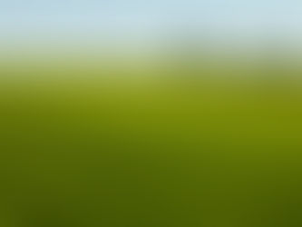Nordic lawn