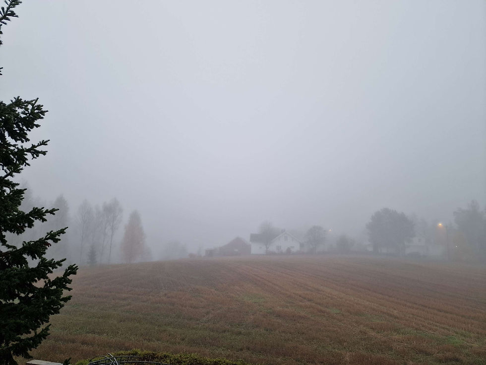 Norway autumn foggy