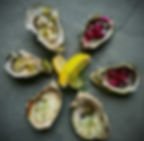 oysters Norway