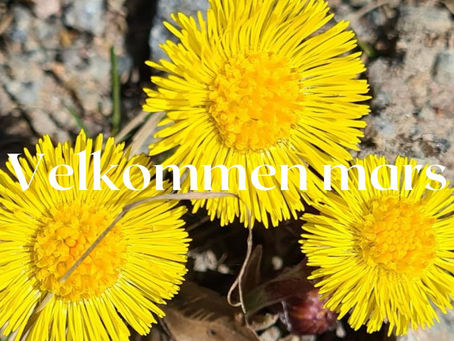 Velkommen mars