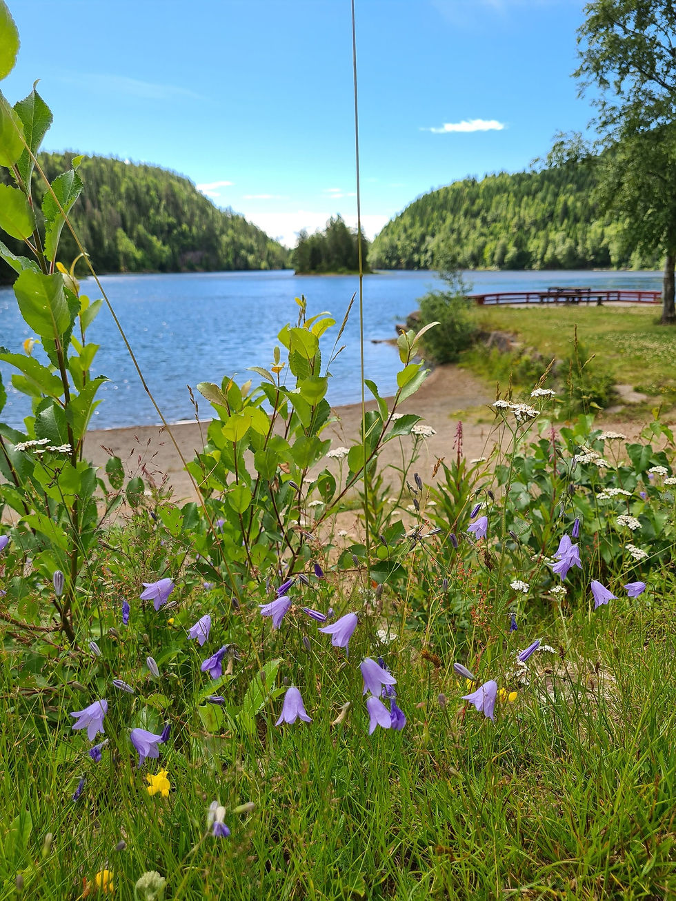 Summer Hygge: a Nordic Guide