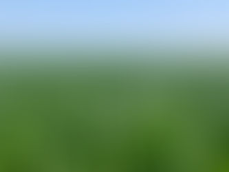 Sustainability Isn’t Just About the Land - It’s About the Farmers, Too