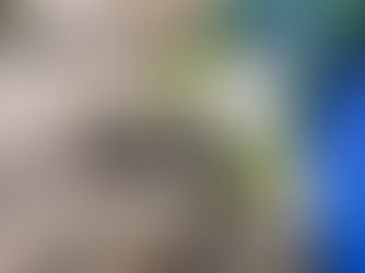 The Ultimate Guide to Custom Glass Solutions for Interior Design Projects