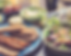 Untitled design (2).png