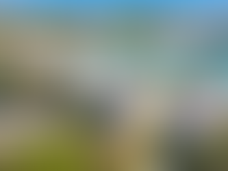 Best neighborhoods to rent in Palm Coast