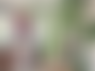 Can you decorate a rental without losing your deposit? Florida-friendly do’s and don’ts