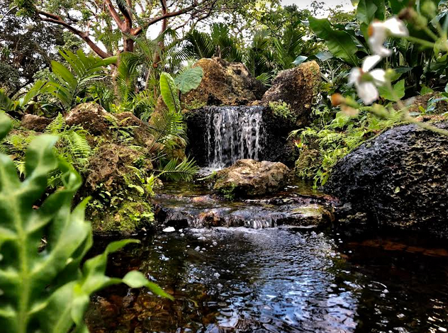 the Deerfield Beach Arboretum