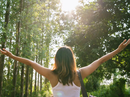 Sustainability at Oasis Rentals: Eco-Friendly Practices You’ll Appreciate