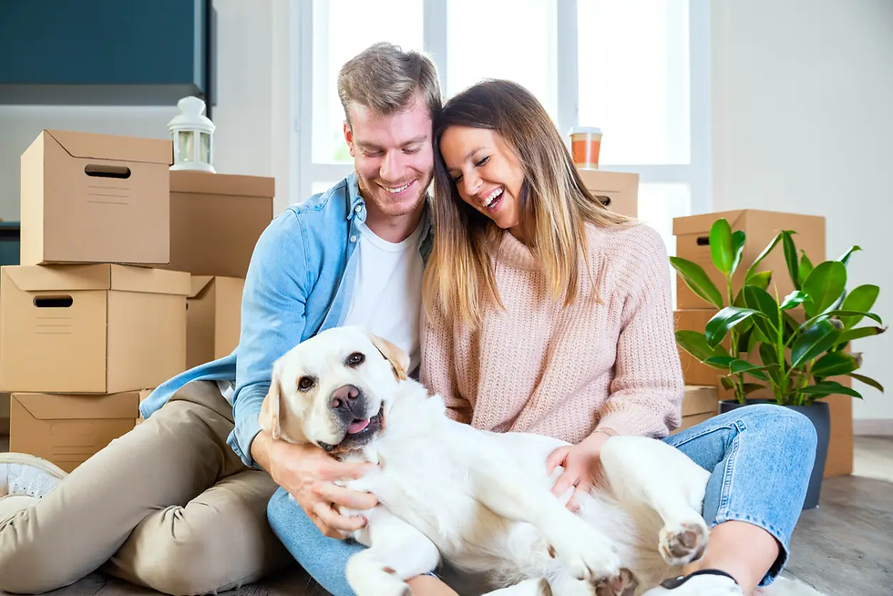 The Financial Benefits of Pet-Friendly Policies