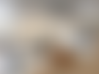 Best Family-Friendly Rentals Available at Oasis Rental