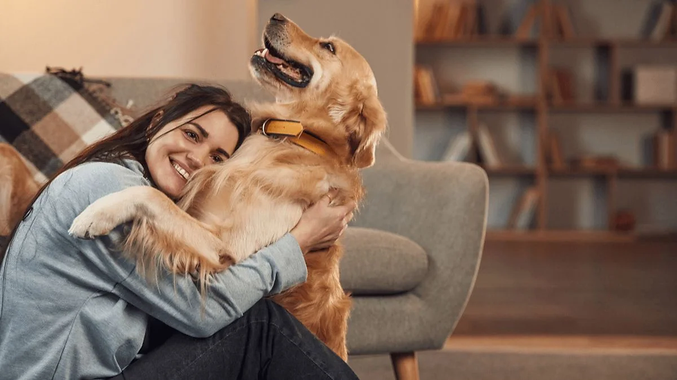 Direct Threat or Fundamental Alteration: When an Assistance Animal Request May Be Denied