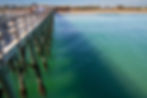 flagler beach pier fishing in palm coast