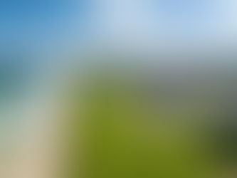 Renewal strategy: seasonality patterns in Boca/Deerfield coastal markets vs. Palm Coast inland—how to time your ask