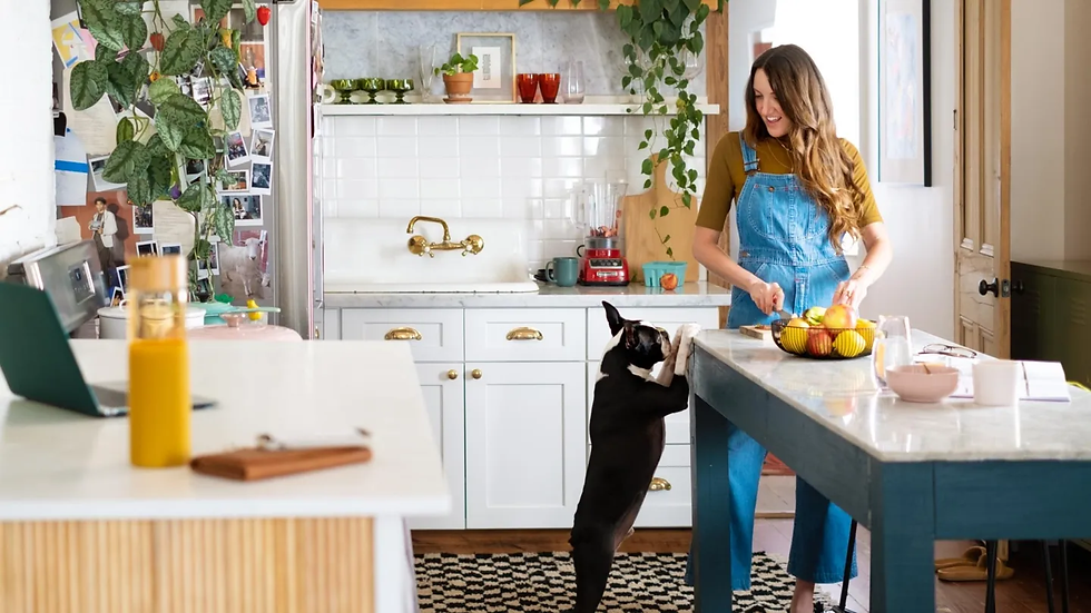 Pet-Friendly Rentals