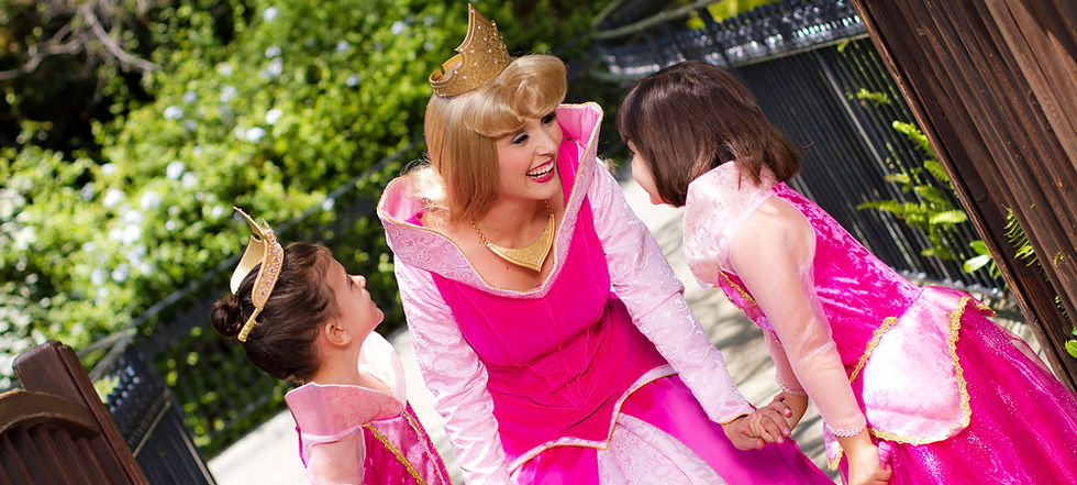 disneyland_primary4
