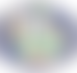 Первая экспедиция