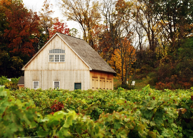 Screenshot 2025-12-05 142742.png