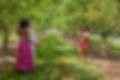 NOTLSpring2025-6629_edited.jpg