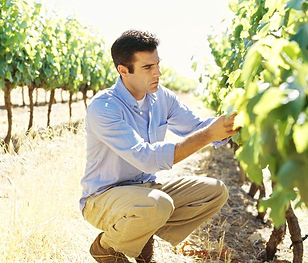 Winemaker_edited.jpg