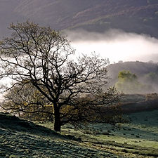PERTHI DAWN Large Medium (1).jpeg