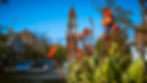 DSC01884.jpg