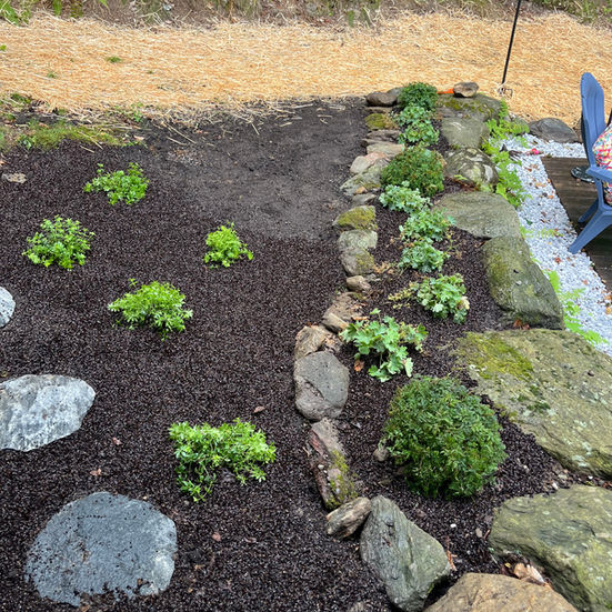 Side yard pathway with ground cover