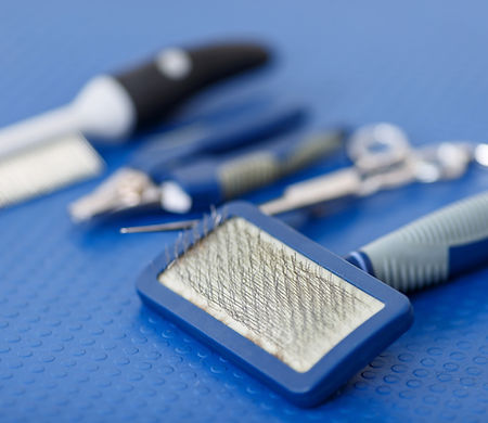 Dog Grooming Tools