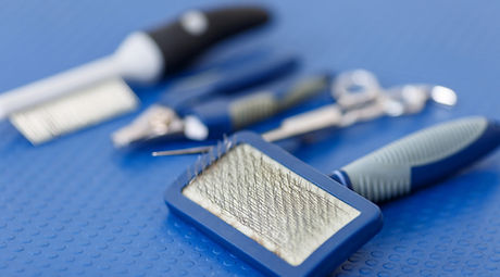 Dog Grooming Tools