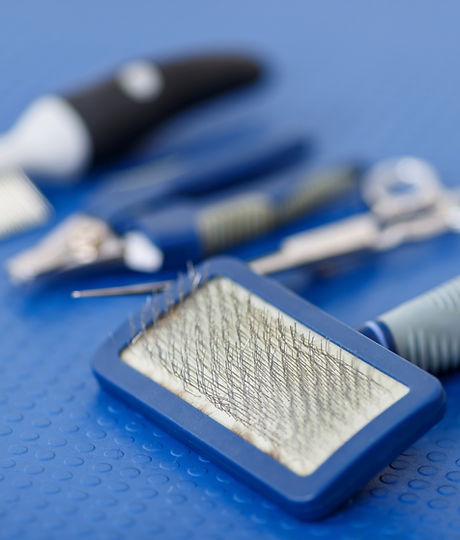 Dog Grooming Tools