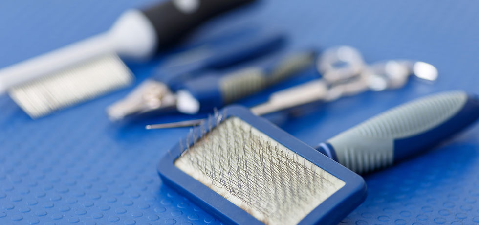 Dog Grooming Tools