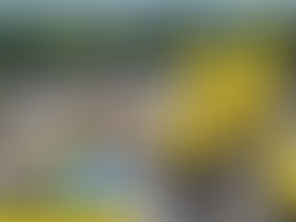 Which 120 TPH Asphalt Batch Plant Fits 50,000 Ton Highway Project In Java, Indonesia?