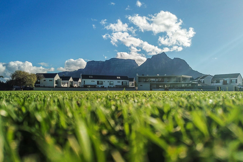 Eye-level view of cricket pitch with green grass and white boundary lines