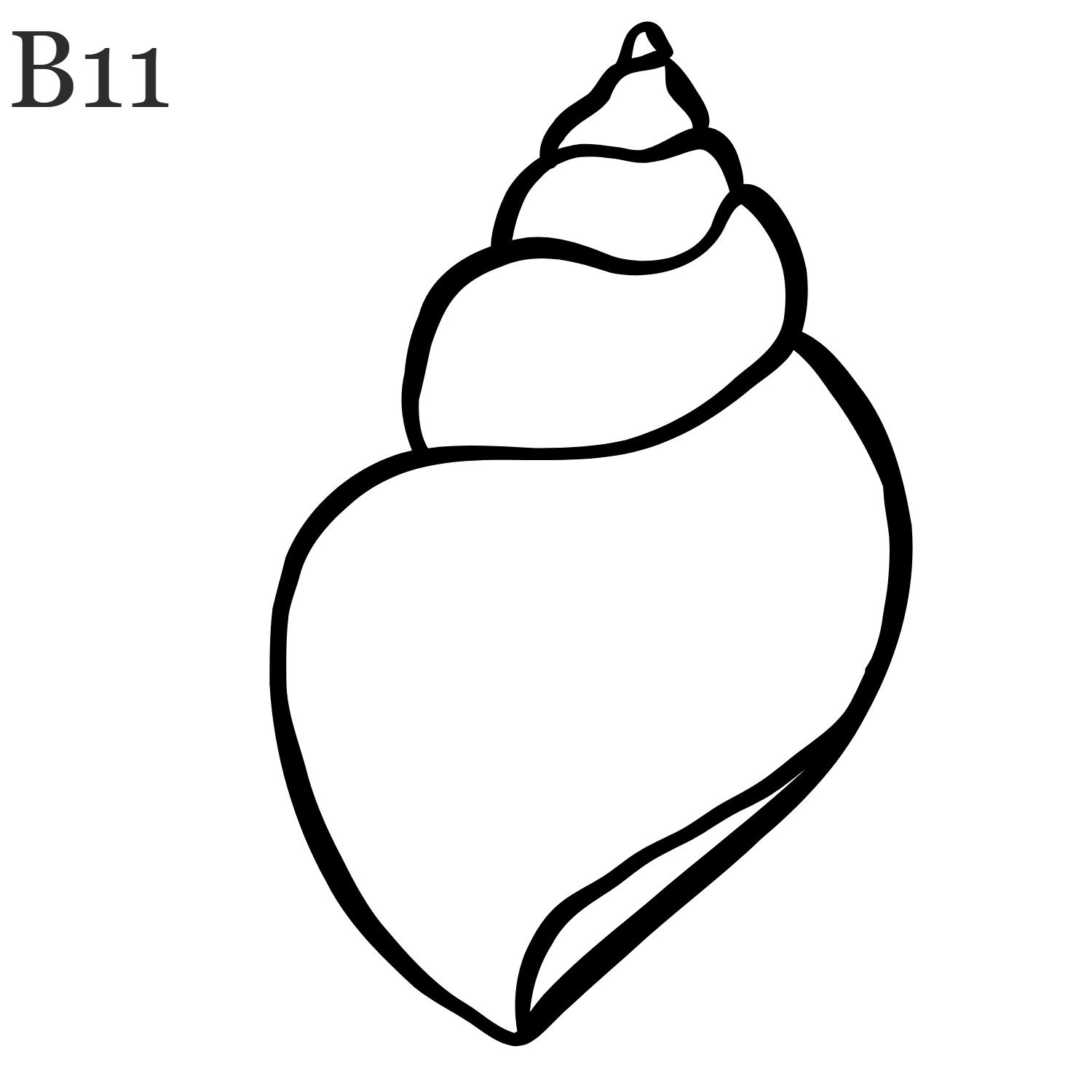 B11 Shell Jagua Gel Temporary Tattoo
