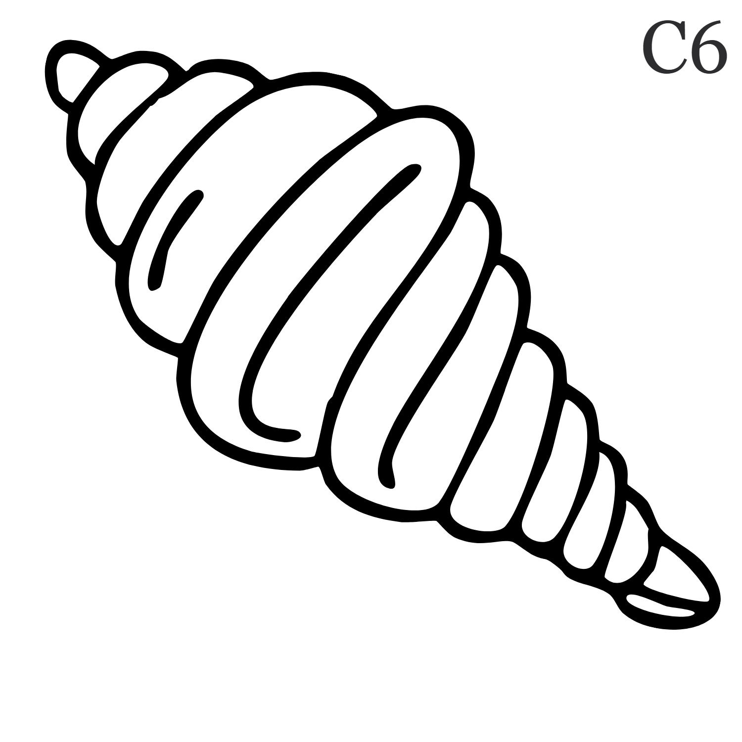 C6 Shell Jagua Gel Temporary Tattoo