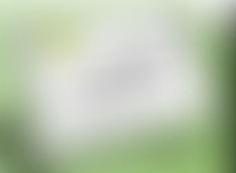 منح الطالب محمد عبد الوهاب خضري درجة الماجستير البحثي في العلوم الزراعية ( وقاية النبات)