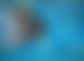 تنظيم بطولة الجامعة فى السباحة بكلية العلوم