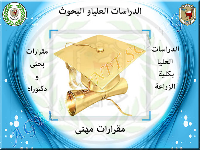 الائحة القديمة للدراسات العليا