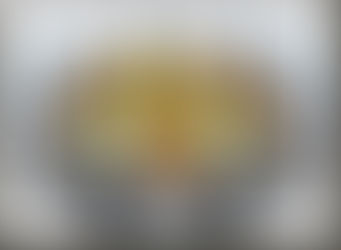 اهم قرارات مجلس قسم وقاية النبات رقم 77