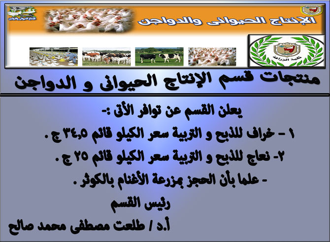 توافر لبن جاموسى من إنتاج مزرعة الجاموس بالكوامل