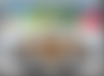 قرارات مجلس قسم البساتين