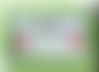 حصول وحدة الخدمات الالكترونية بكلية الزراعة على المركز الاول فى التقيم الربع الثانى