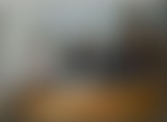 حضور السيد الاستاذ الدكتور رئيس الجامعة مجلس كلية الزراعة