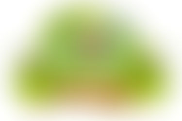 منح الطالبة/ مروة عادل عبد الرحيم سعدان درجة الماجستير البحثي في العلوم الزراعية ( وقاية النبات)