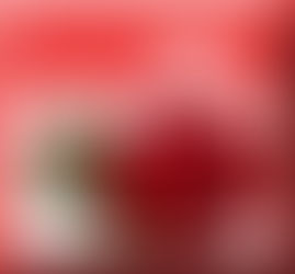 تهنئه قلبية من أسرة كلية الزراعه