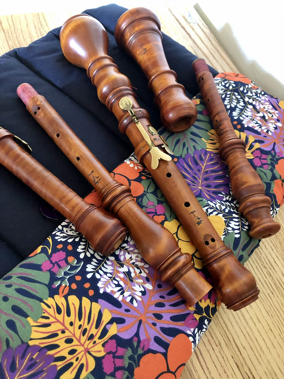 Miniature : Housse double pour hautbois baroque /  Baroque oboe double roll soft case