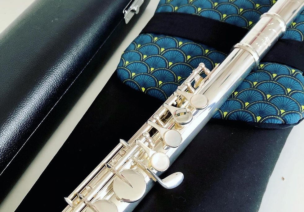 Thumbnail: Cover for Alto flute box