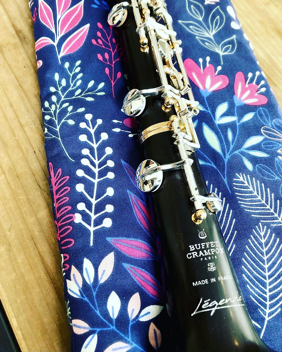 Thumbnail: Cover for baroque oboe / historical oboe or historical oboe d'amore