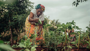 Webinar Featuring Kasigau Corridor REDD+ Project Team Members and Community Leaders