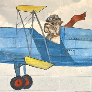 Murals -Dog Hotel Kennels